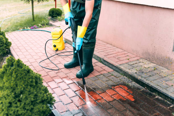 Best Spring Cleaning  in Courtland, VA