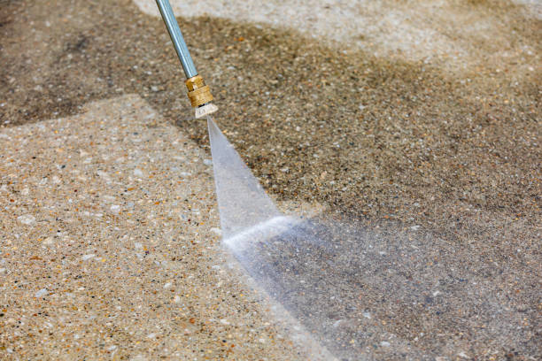 Best Animal Enclosure Cleaning  in Courtland, VA