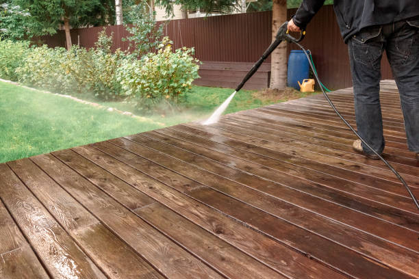 Best Solar Panel Cleaning  in Courtland, VA