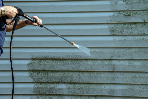 Best Paint Preparation  in Courtland, VA